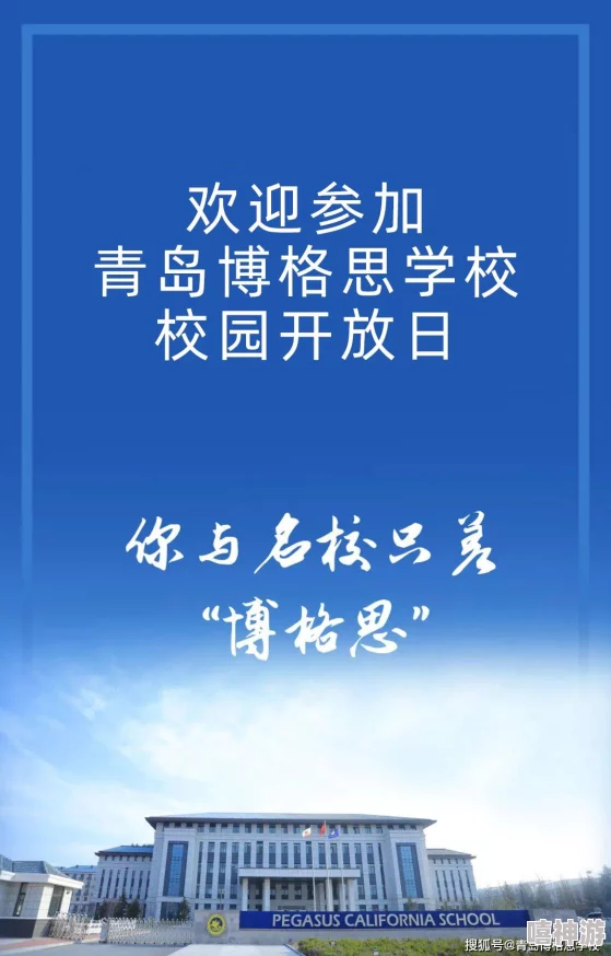 潦草独播国语2020福利片夺金四贱客（国语版）勇敢追梦坚持奋斗收获精彩人生