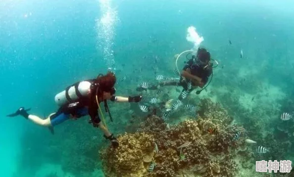 深海潜水员的珊瑚花园奇遇记隐藏着古代文明的秘密