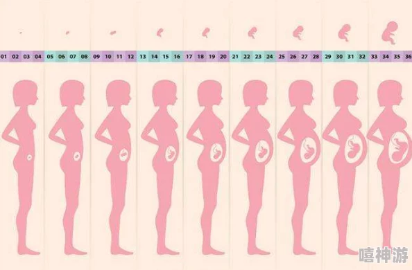 小孕妇advanced孕妇孕交孕期已满36周胎儿发育良好即将进入待产状态