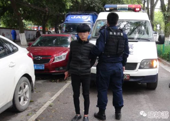 丫头你被捕了近日一名女子因涉嫌盗窃被警方拘留，案件正在进一步调查中