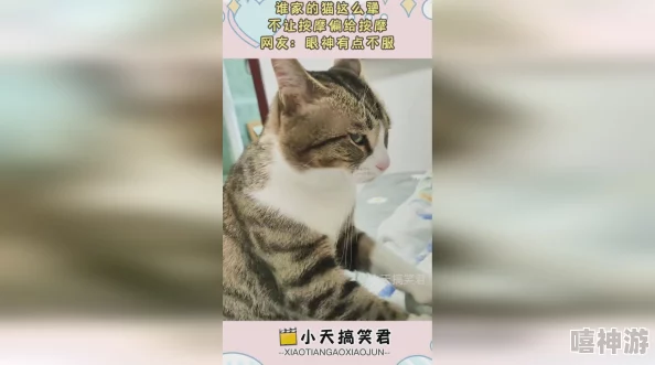 啊快点使劲再深点噢视频原标题为“猫咪按摩技巧教学”展示如何正确地为猫咪按摩