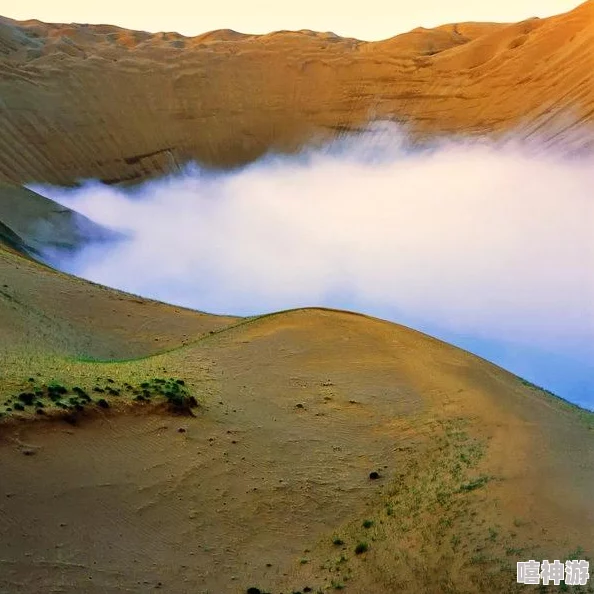 新疆旅行社：探索天山南北的美丽风光与人文魅力