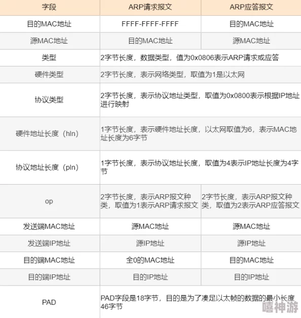 全球各大节日与庆典盛况全面解析