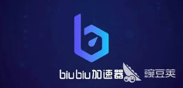 如何评价biubiu端游加速器：全面解析biubiu端游加速器功能与特点